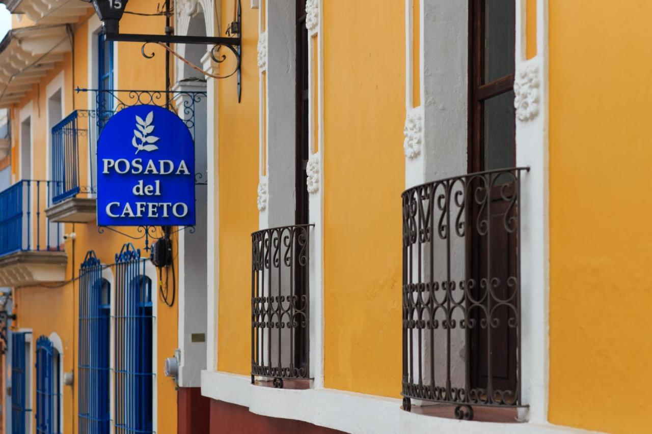 Posada Del Cafeto Xalapa Ngoại thất bức ảnh